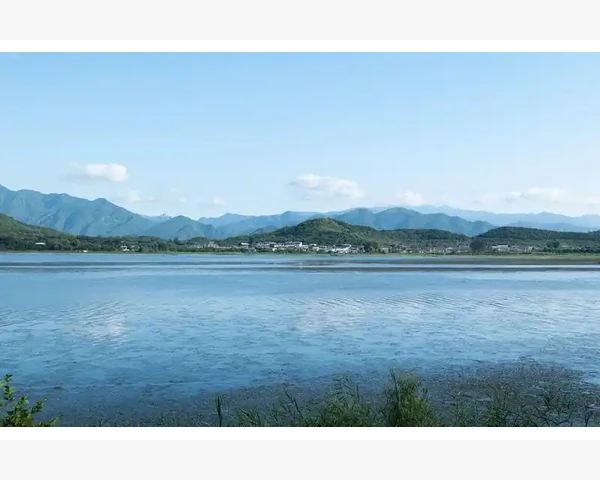 B2B领域客户复购率提升的实战办法